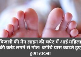 Himachal Pradesh News: बिजली की मेन लाइन की चपेट में आई महिला की करंट लगने से मौत! बगीचे घास काटते हुए हुआ हादसा