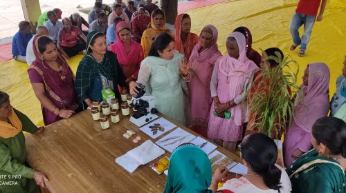 Paonta Sahib: कृषि विज्ञान केंद्र सिरमौर में किसान गोष्ठी एवं तकनीक दिवस के अवसर पर किसानों ने साझा किए अपने अनुभव