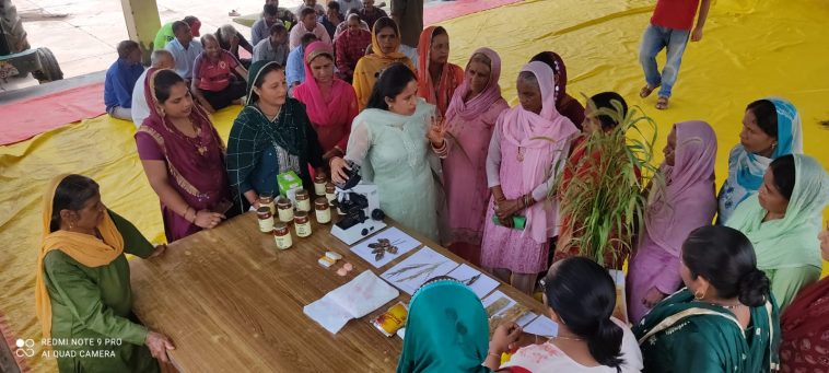 Paonta Sahib: कृषि विज्ञान केंद्र सिरमौर में किसान गोष्ठी एवं तकनीक दिवस के अवसर पर किसानों ने साझा किए अपने अनुभव