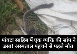 Paonta Sahib: पांवटा साहिब में एक व्यक्ति की सांप ने डसा! अस्पताल पहुंचने से पहले मौत