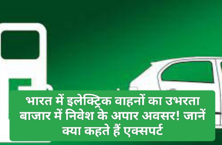 Share Market Investment Tips: भारत में इलेक्ट्रिक वाहनों का उभरता बाजार में निवेश के अपार अवसर! जानें क्या कहते हैं एक्सपर्ट