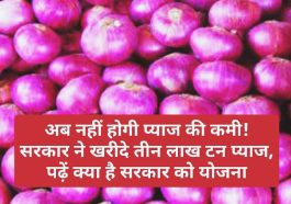 Big News: अब नहीं होगी प्याज की कमी! सरकार ने खरीदे तीन लाख टन प्याज, पढ़ें क्या है सरकार को योजना