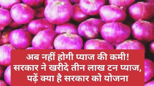 Big News: अब नहीं होगी प्याज की कमी! सरकार ने खरीदे तीन लाख टन प्याज, पढ़ें क्या है सरकार को योजना