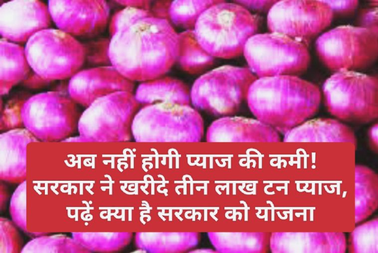 Big News: अब नहीं होगी प्याज की कमी! सरकार ने खरीदे तीन लाख टन प्याज, पढ़ें क्या है सरकार को योजना