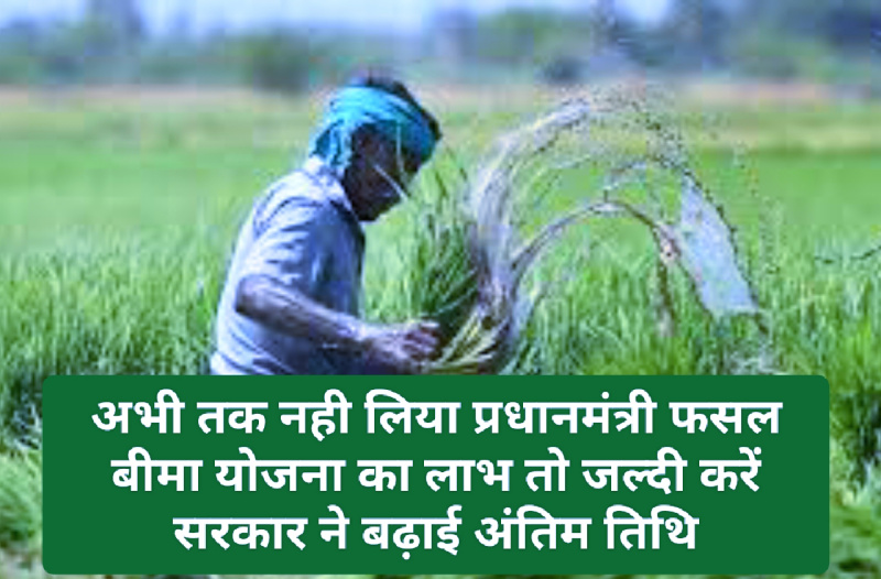 PrdhanMantri Fasal Bima Yojana: अभी तक नही लिया प्रधानमंत्री फसल बीमा योजना का लाभ तो जल्दी करें सरकार ने बढ़ाई अंतिम तिथि PrdhanMantri Fasal Bima Yojana: अभी तक नही लिया प्रधानमंत्री फसल बीमा योजना का लाभ तो जल्दी करें सरकार ने बढ़ाई अंतिम तिथि