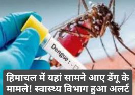 Himachal Health Alert: हिमाचल में यहां सामने आए डेंगू के मामले! स्वास्थ्य विभाग हुआ अलर्ट