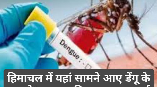 Himachal Health Alert: हिमाचल में यहां सामने आए डेंगू के मामले! स्वास्थ्य विभाग हुआ अलर्ट