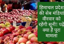 Himachal Pradesh Apple Market: हिमाचल प्रदेश की सेब मंडियां वीरवार को रहेंगी सूनी! पढ़ें क्या है पूरा मामला