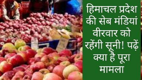 Himachal Pradesh Apple Market: हिमाचल प्रदेश की सेब मंडियां वीरवार को रहेंगी सूनी! पढ़ें क्या है पूरा मामला