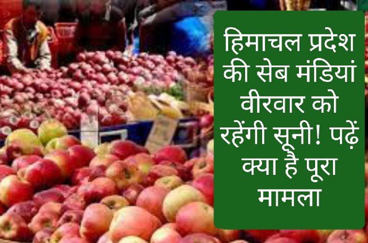 Himachal Pradesh Apple Market: हिमाचल प्रदेश की सेब मंडियां वीरवार को रहेंगी सूनी! पढ़ें क्या है पूरा मामला