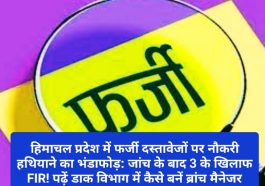 हिमाचल प्रदेश में फर्जी दस्तावेजों पर नौकरी हथियाने का भंडाफोड़: जांच के बाद 3 के खिलाफ FIR! पढ़ें डाक विभाग में कैसे बनें ब्रांच मैनेजर