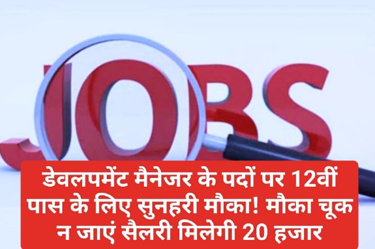 HP Jobs Alert: डेवलपमेंट मैनेजर के पदों पर 12वीं पास के लिए सुनहरी मौका! मौका चूक न जाएं सैलरी मिलेगी 20 हजार