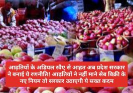 HP Apple Market: आढ़तियों के अड़ियल रवैए से आहत अब प्रदेश सरकार ने बनाई ये रणनीति! आढ़तियों ने नहीं माने सेब बिक्री के नए नियम तो सरकार उठाएगी ये सख्त कदम