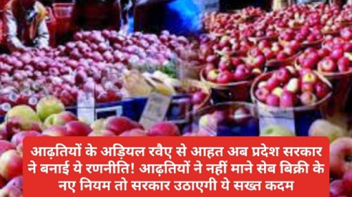 HP Apple Market: आढ़तियों के अड़ियल रवैए से आहत अब प्रदेश सरकार ने बनाई ये रणनीति! आढ़तियों ने नहीं माने सेब बिक्री के नए नियम तो सरकार उठाएगी ये सख्त कदम