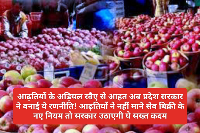 HP Apple Market: आढ़तियों के अड़ियल रवैए से आहत अब प्रदेश सरकार ने बनाई ये रणनीति! आढ़तियों ने नहीं माने सेब बिक्री के नए नियम तो सरकार उठाएगी ये सख्त कदम