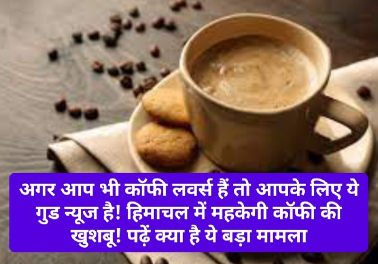 Coffee Lovers: अगर आप भी कॉफी लवर्स हैं तो आपके लिए ये गुड न्यूज है! हिमाचल में महकेगी कॉफी की खुशबू! पढ़ें क्या है ये बड़ा मामला