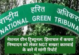 नेशनल ग्रीन ट्रिब्यूनल: हिमाचल में कचरा निष्पादन को लेकर NGT सख्त! कारवाई के बारे में मांगी रिपोर्ट