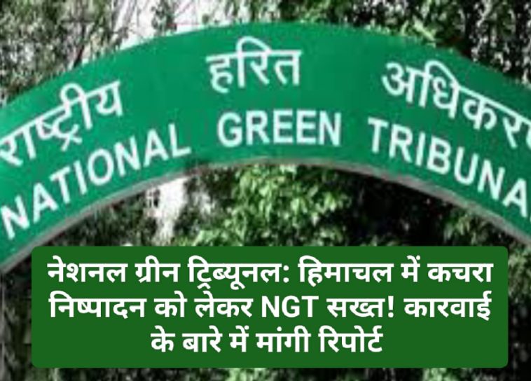 नेशनल ग्रीन ट्रिब्यूनल: हिमाचल में कचरा निष्पादन को लेकर NGT सख्त! कारवाई के बारे में मांगी रिपोर्ट