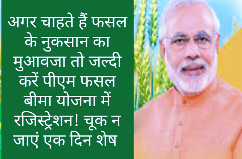 PM Fasal Bima Yojana: अगर चाहते हैं फसल के नुकसान का मुआवजा तो जल्दी करें पीएम फसल बीमा योजना में रजिस्ट्रेशन! चूक न जाएं एक दिन शेष