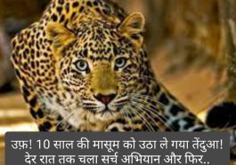 Himachal News: उफ़! 10 साल की मासूम को उठा ले गया तेंदुआ! देर रात तक चला सर्च अभियान और फिर..