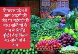 Vegetables Price Hike: हिमाचल प्रदेश में आम आदमी की जेब पर महंगाई की मार! सब्जियों के दाम में रिकॉर्ड वृद्धि! देखें कितने बढ़े सब्जियों के दाम