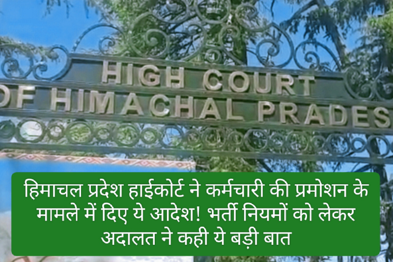 HP High Court Order: हिमाचल प्रदेश हाईकोर्ट ने कर्मचारी की प्रमोशन के मामले में दिए ये आदेश! भर्ती नियमों को लेकर अदालत ने कही ये बड़ी बात
