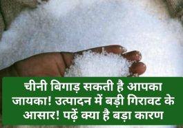 Sugar Price: चीनी बिगाड़ सकती है आपका जायका! उत्पादन में बड़ी गिरावट के आसार! पढ़ें क्या है बड़ा कारण