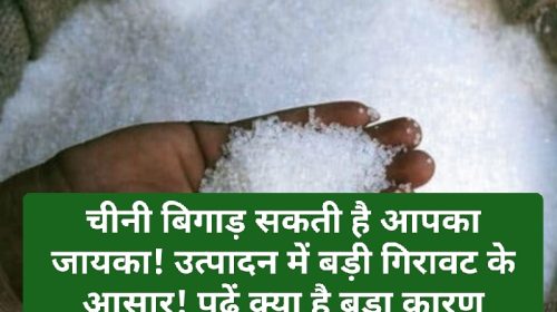 Sugar Price: चीनी बिगाड़ सकती है आपका जायका! उत्पादन में बड़ी गिरावट के आसार! पढ़ें क्या है बड़ा कारण