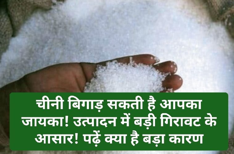 Sugar Price: चीनी बिगाड़ सकती है आपका जायका! उत्पादन में बड़ी गिरावट के आसार! पढ़ें क्या है बड़ा कारण