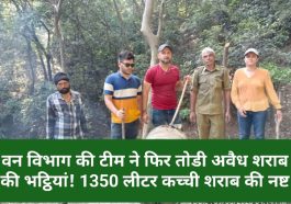 Paonta Sahib: वन विभाग की टीम ने फिर तोडी अवैध शराब की भट्ठियां! 1350 लीटर कच्ची शराब की नष्ट