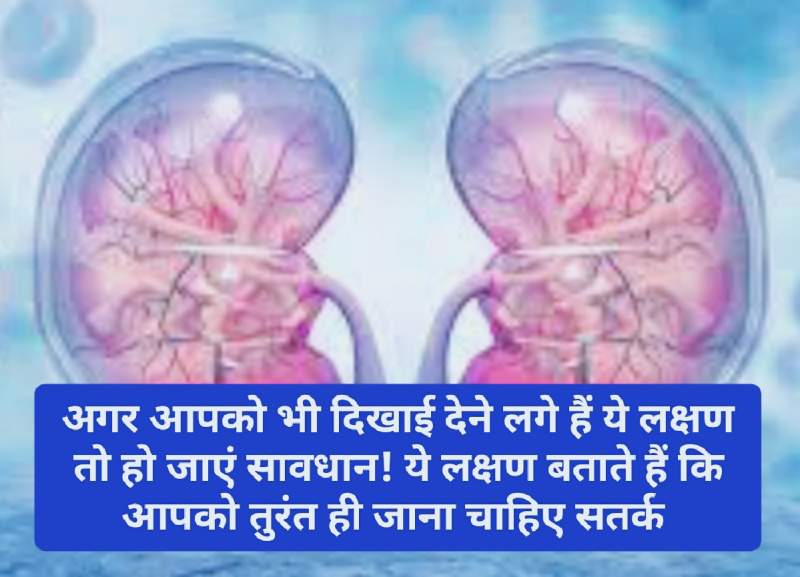 Kidney Health Tips: अगर आपको भी दिखाई देने लगे हैं ये लक्षण तो हो जाएं सावधान! ये लक्षण बताते हैं कि आपको तुरंत ही जाना चाहिए सतर्क