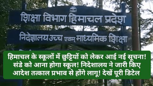 School Holidays: हिमाचल के स्कूलों में छुट्टियों को लेकर आई नई सूचना! संडे को आना होगा स्कूल! निदेशालय ने जारी किए आदेश तत्काल प्रभाव से होंगे लागू! देखें पूरी डिटेल