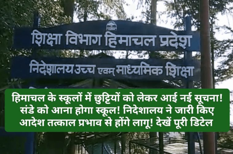 School Holidays: हिमाचल के स्कूलों में छुट्टियों को लेकर आई नई सूचना! संडे को आना होगा स्कूल! निदेशालय ने जारी किए आदेश तत्काल प्रभाव से होंगे लागू! देखें पूरी डिटेल