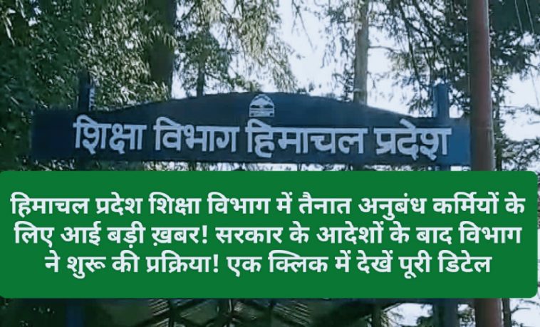 HP Contract Employee: हिमाचल प्रदेश शिक्षा विभाग में तैनात अनुबंध कर्मियों के लिए आई बड़ी ख़बर! सरकार के आदेशों के बाद विभाग ने शुरू की प्रक्रिया! एक क्लिक में देखें पूरी डिटेल