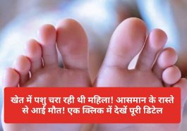 HImachal Pradesh News: खेत में पशु चरा रही थी महिला! आसमान के रास्ते से आई मौत! एक क्लिक में देखें पूरी डिटेल