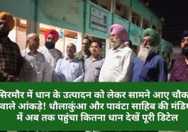 Sirmour News: सिरमौर में धान के उत्पादन को लेकर सामने आए चौकाने वाले आंकड़े! धौलाकुंआ और पावंटा साहिब की मंडियों में अब तक पहुंचा कितना धान देखें पूरी डिटेल