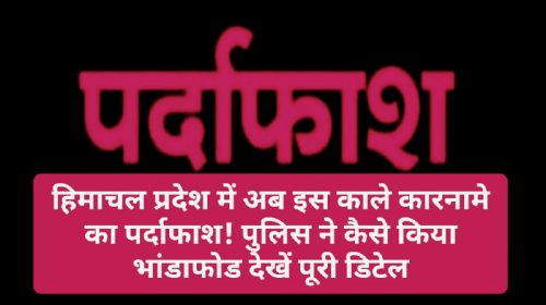 HP Latest News: हिमाचल प्रदेश में अब इस काले कारनामे का पर्दाफाश! पुलिस ने कैसे किया भांडाफोड देखें पूरी डिटेल