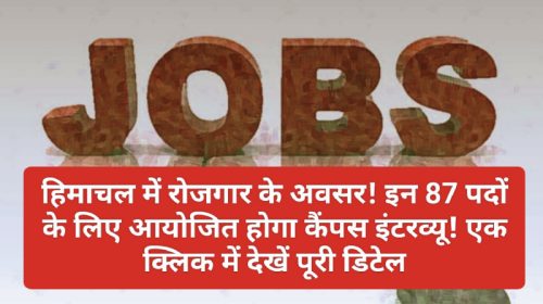 Himachal Job Alert: हिमाचल में रोजगार के अवसर! इन 87 पदों के लिए आयोजित होगा कैंपस इंटरव्यू! एक क्लिक में देखें पूरी डिटेल