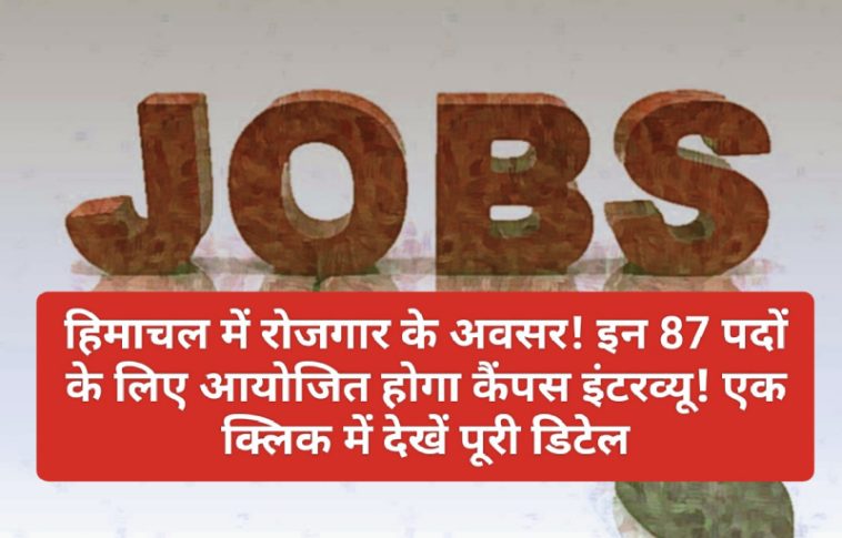 Himachal Job Alert: हिमाचल में रोजगार के अवसर! इन 87 पदों के लिए आयोजित होगा कैंपस इंटरव्यू! एक क्लिक में देखें पूरी डिटेल