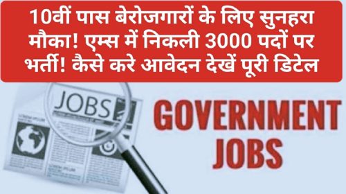 Govt Job Alert: 10वीं पास बेरोजगारों के लिए सुनहरा मौका! एम्स में निकली 3000 पदों पर भर्ती! कैसे करे आवेदन देखें पूरी डिटेल