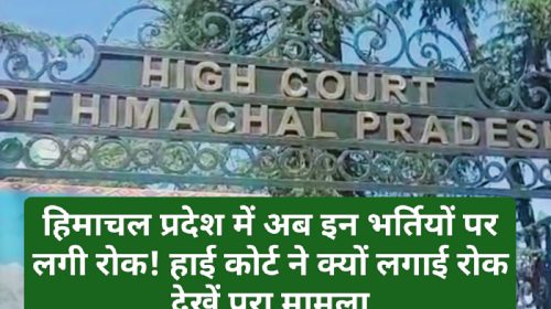 HP High Court: हिमाचल प्रदेश में अब इन भर्तियों पर लगी रोक! हाई कोर्ट ने क्यों लगाई रोक देखें पूरा मामला