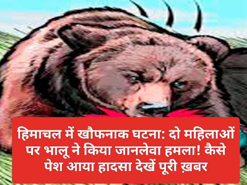 हिमाचल में खौफनाक घटना: दो महिलाओं पर भालू ने किया जानलेवा हमला! कैसे पेश आया हादसा देखें पूरी ख़बर