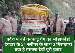 Himachal Crime Alert: प्रदेश में बड़े वनकाटू गैंग का भांडाफोड! देवदार के 31 स्लीपर के साथ 3 गिरफ्तार! क्या है मामला देखें पूरी ख़बर