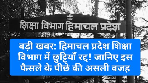 बड़ी खबर: हिमाचल प्रदेश शिक्षा विभाग में छुट्टियाँ रद्द! जानिए इस फैसले के पीछे की असली वजह