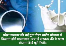 Himachal Govt News Alert: प्रदेश सरकार की नई दूध गोबर खरीद योजना से किसान होंगे मालामाल! क्या है सरकार की ये खास योजना देखें पूरी रिर्पोट