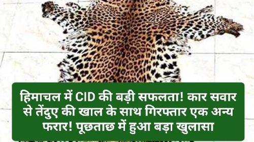 Himachal News Alert: हिमाचल में CID की बड़ी सफलता! कार सवार से तेंदुए की खाल के साथ गिरफ्तार एक अन्य फरार! पूछताछ में हुआ बड़ा खुलासा