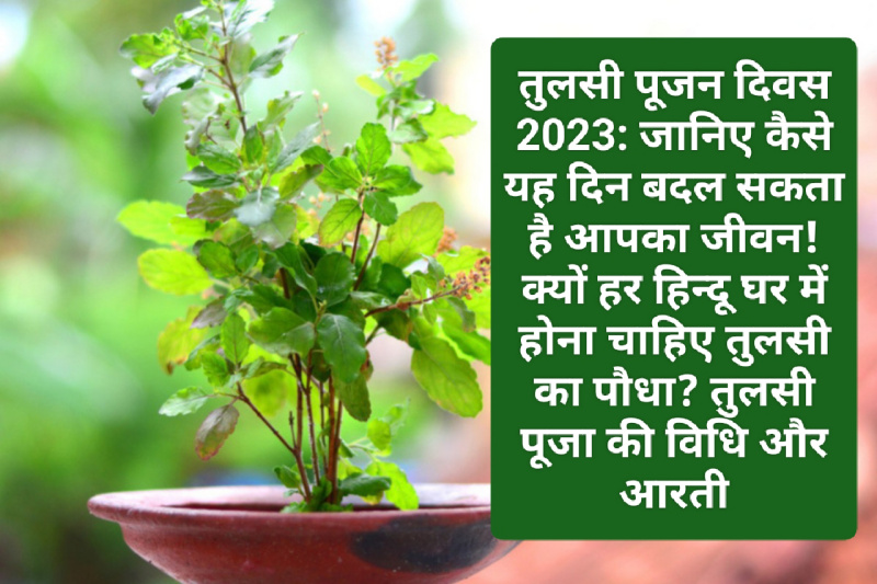 तुलसी पूजन दिवस 2023: जानिए कैसे यह दिन बदल सकता है आपका जीवन! क्यों हर हिन्दू घर में होना चाहिए तुलसी का पौधा? तुलसी पूजा की विधि और आरती