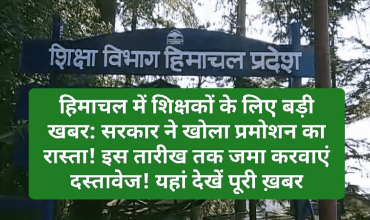 हिमाचल में शिक्षकों के लिए बड़ी खबर: सरकार ने खोला प्रमोशन का रास्ता! इस तारीख तक जमा करवाएं दस्तावेज! यहां देखें पूरी ख़बर