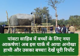 Paonta Sahib: पांवटा साहिब में बच्चों के लिए नया आकर्षण! अब इस पार्क में आया अनोखा हाथी और उसका बच्चा! देखें पूरी रिर्पोट