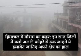 हिमाचल में मौसम का कहर: इन सात जिलों में यलो अलर्ट! कोहरे से ढक जाएंगे ये इलाके! जानिए अपने क्षेत्र का हाल